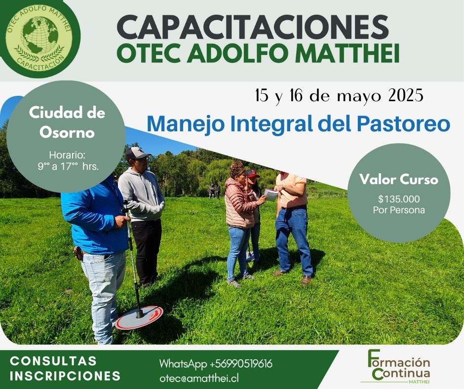Pastoreo_mayo (2)