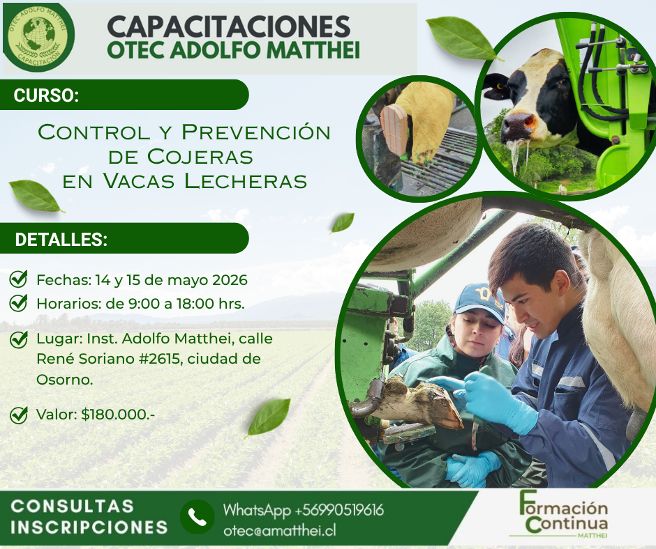 Cojeras Mayo 26