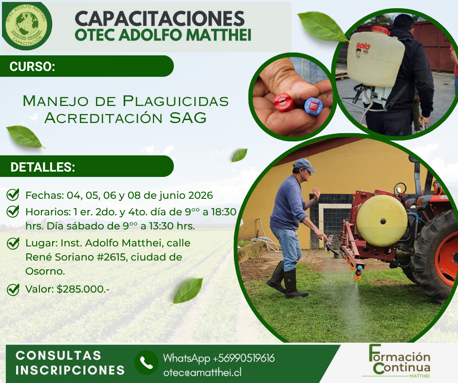 Plaguicidas Junio 26