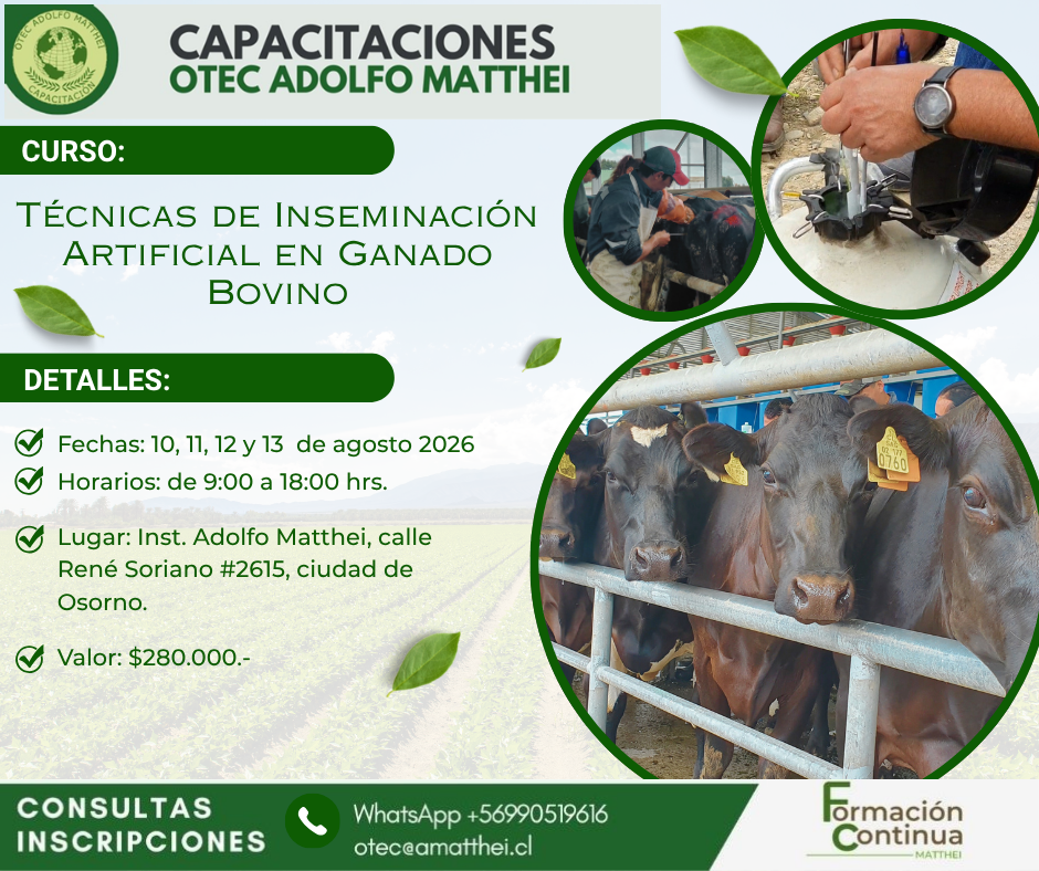 Inseminacion Agost.